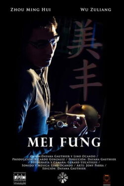 Mei Fung (2013) Mei Fung (2013)