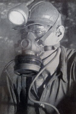 Mein Freund wird Bergmann (1951)