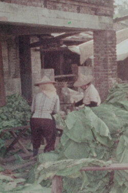 Meinung, A Town Cherishing Tradition (1981) Meinung, A Town Cherishing Tradition (1981)