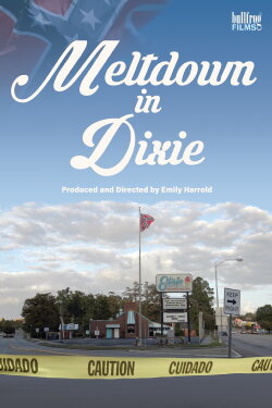 Meltdown in Dixie (2021)