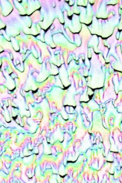 Melting Rainbow Heart (2014) Melting Rainbow Heart (2014)
