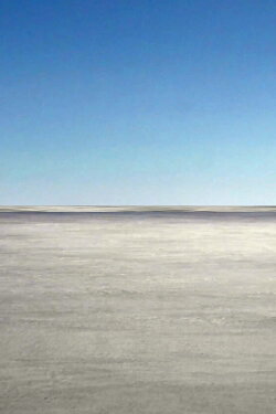 Meltwater (2020)