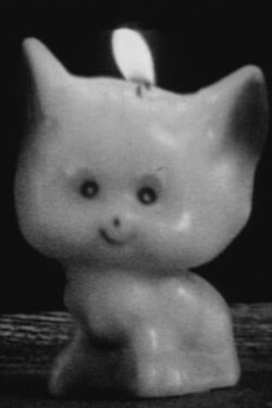 Melty Kitty (2007)
