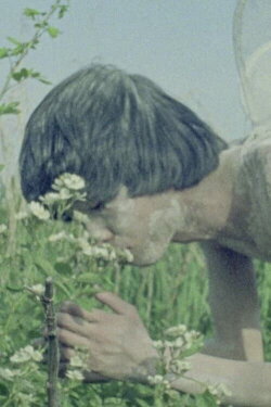 Memoir (1977)