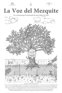 Memories of a Mesquite (2022) Memories of a Mesquite (2022)
