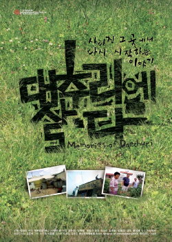 Memories of Daechuri (2009)