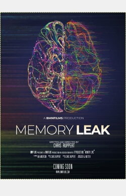 Memory Leak (2019)