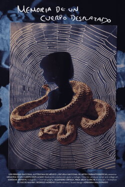 Memory of a Displaced Body (2024) Memory of a Displaced Body (2024)