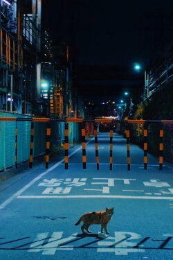 Memory of places (2022) Memory of places (2022)