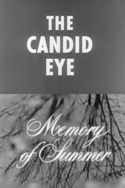 Memory of Summer (1958)