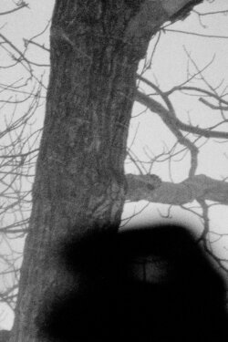Mend (1979)
