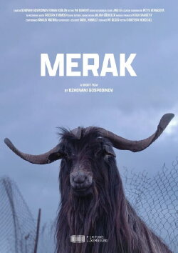 Merak (2020)