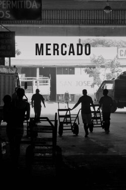 Mercado (2016)