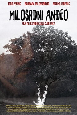 Merciful Angel (2013)