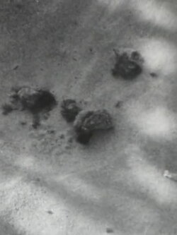 Merdes (1963)