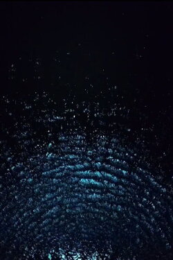 Meridian (2019)