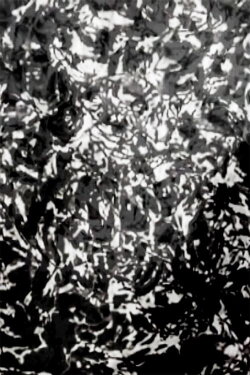 Mesh - P.I.V. 7 (2007) Mesh - P.I.V. 7 (2007)