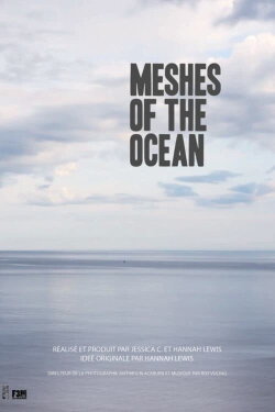 Meshes of the Ocean (2017) Meshes of the Ocean (2017)