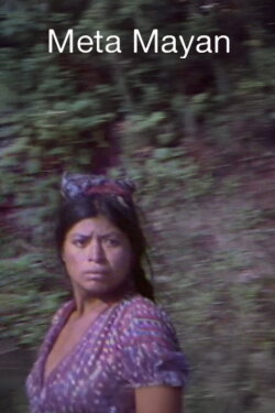 Meta Mayan (1981) Meta Mayan (1981)