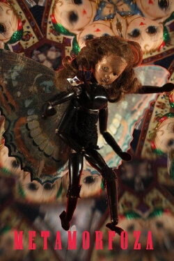 Metamorfoza (2013)