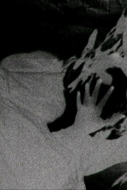 METAMORPHOSE (2012)