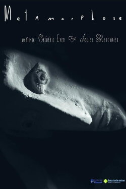 Métamorphose (2016)