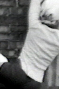 Métamorphoses (1972)