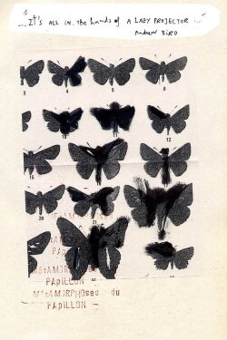 Métamorphoses du Papillon (2014)