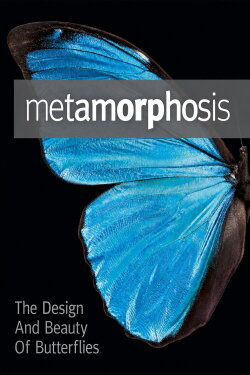 Metamorphosis: The Design and Beauty of Butterflies (2011)
