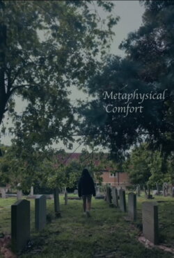 Metaphysical Comfort (2023) Metaphysical Comfort (2023)
