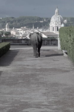 Metodo dei Loci (2019) Metodo dei Loci (2019)