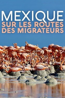 Mexique, sur les routes des migrateurs (2019) Mexique, sur les routes des migrateurs (2019)