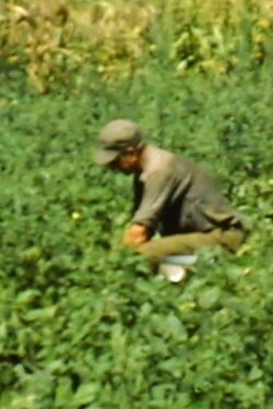 Michigan (1976)