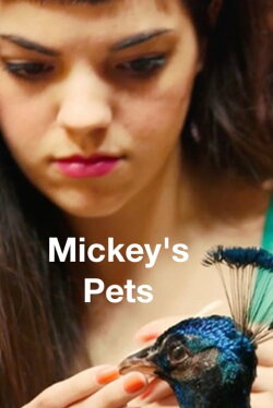 Mickey's Pets (2017) Mickey's Pets (2017)