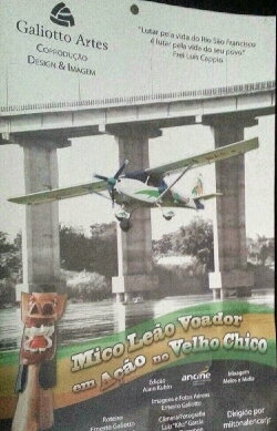 Mico Leão Voador em Ação no Velho Chico (2014) Mico Leão Voador em Ação no Velho Chico (2014)