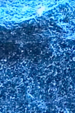 Microscopías (2003)