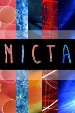 Micta (2012) Micta (2012)