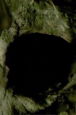 Midnight Black Earth (2003)