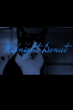 Midnight Donut (2023) Midnight Donut (2023)