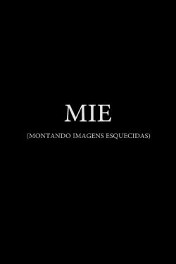 MIE (2013) MIE (2013)