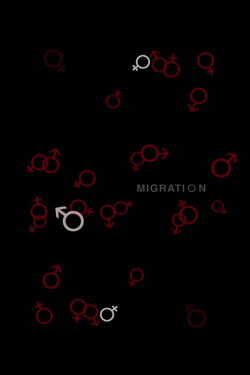 Migration (2008) Migration (2008)