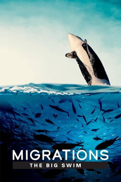 Migrations: The Big Swim (2020) Migrations: The Big Swim (2020)