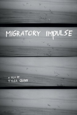 Migratory Impulse (2023) Migratory Impulse (2023)