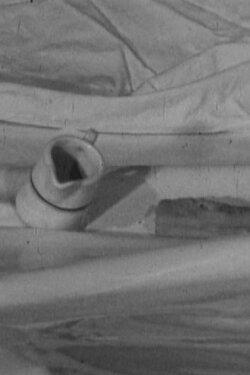 Milchkännchen und Fischstäbchen in der Antarktis (1973)