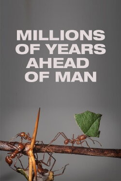 Millions of Years Ahead of Man (1975) Millions of Years Ahead of Man (1975)