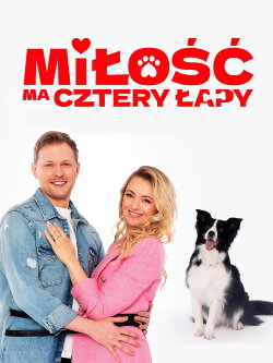 Miłość ma cztery łapy (2025) Miłość ma cztery łapy (2025)