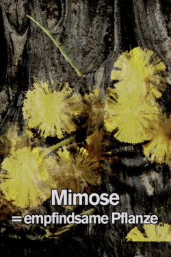Mimosa Tank: A Prologue for a Film (2017) Mimosa Tank: A Prologue for a Film (2017)