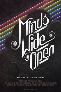 Minds Wide Open (2011)