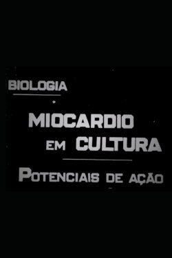 Miocárdio em Cultura: Potenciais de Ação (1942) Miocárdio em Cultura: Potenciais de Ação (1942)