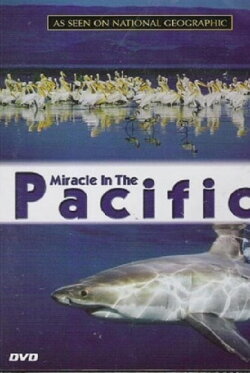 Miracle in the Pacific (2004)